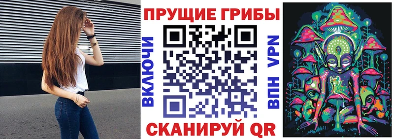 Галлюциногенные грибы Psilocybine cubensis  купить наркотик  Андреаполь 