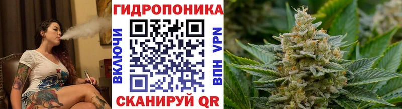Бошки марихуана White Widow  Андреаполь 